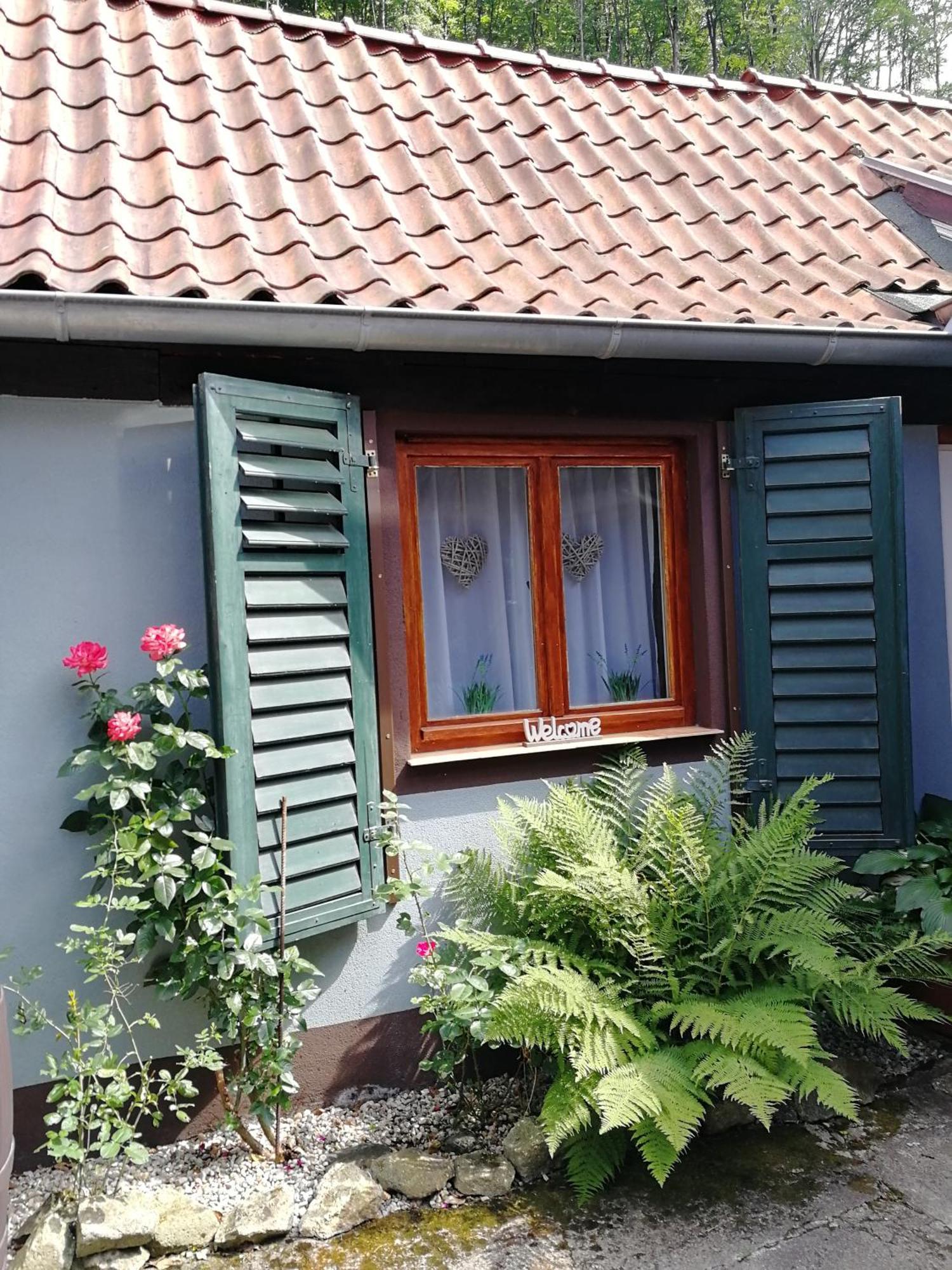 Ferienhaus Rosaly Stolberg i. Harz Dış mekan fotoğraf